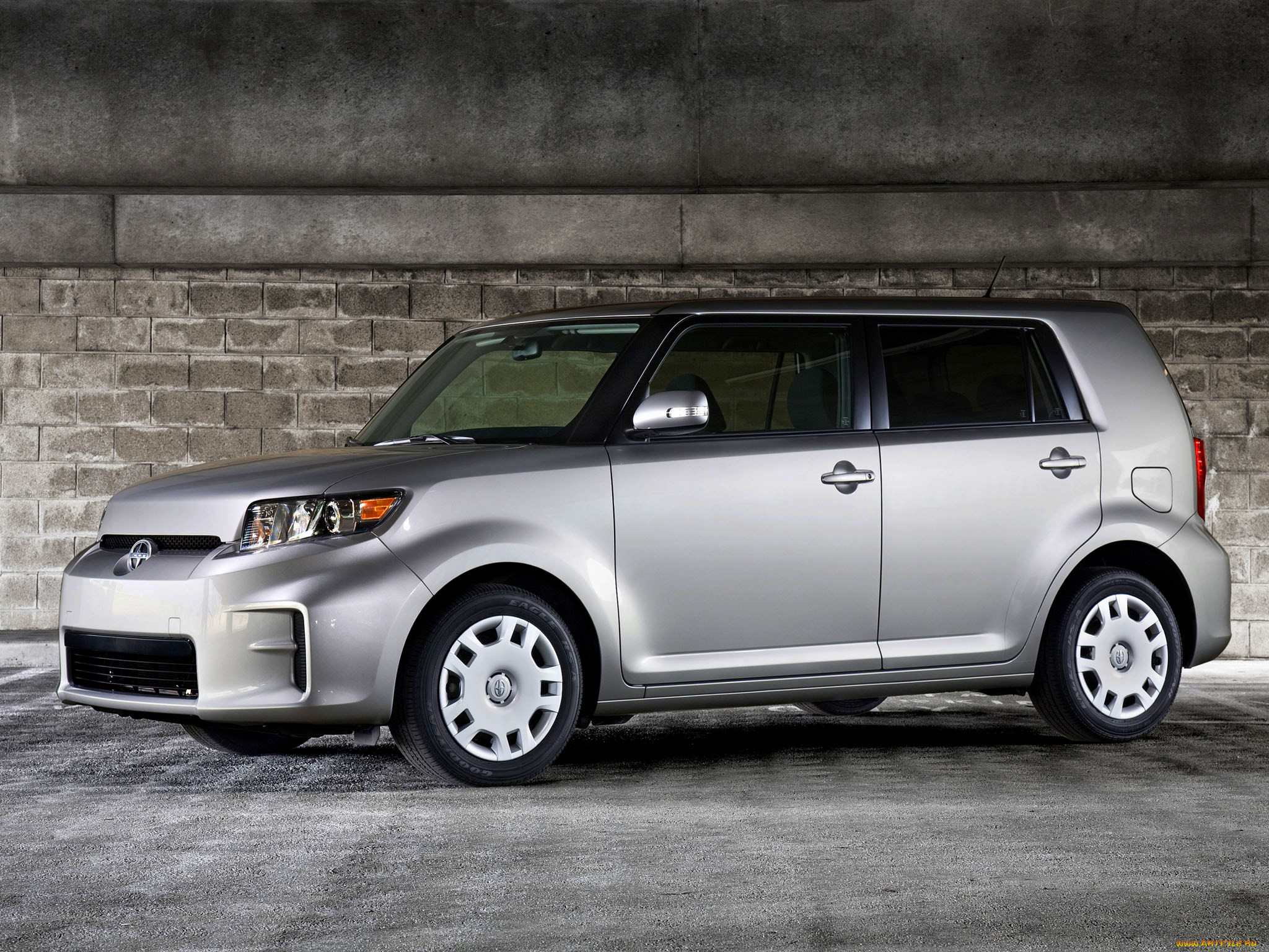 , scion